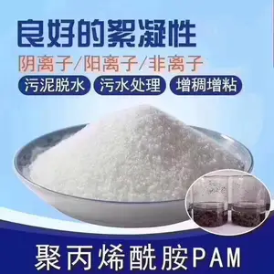 秦皇岛洗砂聚丙烯酰胺白药PAM邯郸阴离子洗煤选矿絮凝剂沉淀剂欢迎您