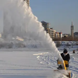 ���� ����ʽ��ѩ�� ·����ѩ�� ˫����Ħ������ѩ��
