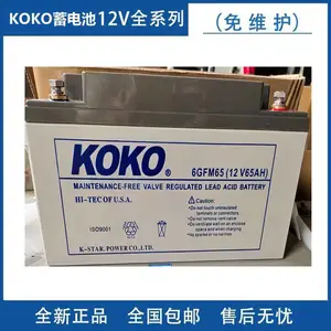 KOKO�ɿ�����GFM-100 ��ά��2V100AH����/UPSֱ��������