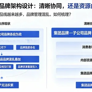 多产品线企业的品牌架构设计：清晰协同，还是资源内耗？