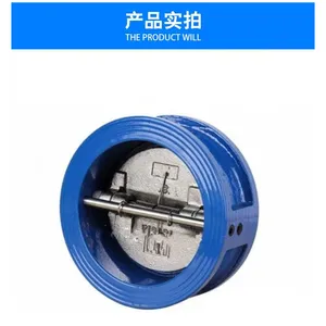 �ϸ߷��� ���ζԼ�ʽֹ�ط� ̼�����ܷ�ֹ�� �� H76H DN100