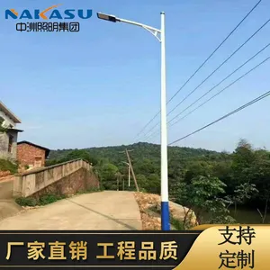 厂家直销 农村6米LED路灯 LED市电路灯 支持定制