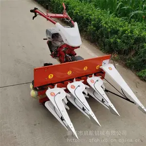 ������е����ʽ�����ո��- ˮ���¿��ɹ��_ ����ҩ���ո���ͺ�