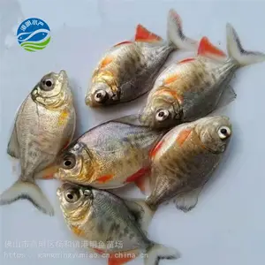 ���۵�ˮ���������� ¦������ˮ�ּ��������������� ����������