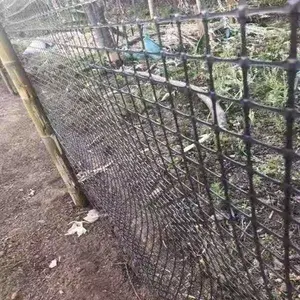 �ǰ���ֳ���������� �Ĵ���ɽ��ֳ������������ ����������