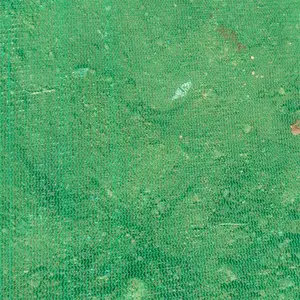 ����������ɫ������ úɳ���Ƿ��������� ʩ���ֳ�ɻ������