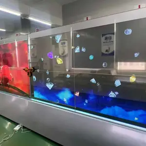2��4��OLED͸��ƴ����ʾ��