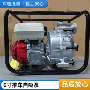15�����������ı�6��ھ��Ź��ˮ�� ũ����������