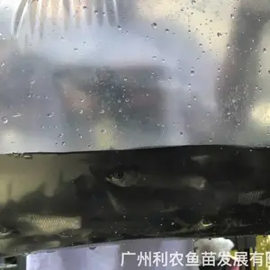 ������������ ������ ����ֳ�������� 3-5���ײ���ֱ��