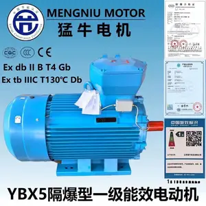 江苏猛牛YBX5一级能效气体兼粉尘防爆CT4超高效电机