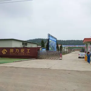 临沂国力化工有限公司