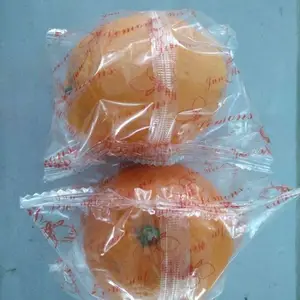 ֱ���Զ��״�����Ӱ�װ�� ���ٷ��ˮ����ʽ��װ�� Դͷ����