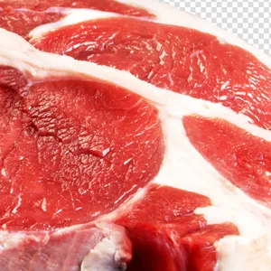 冷冻肉进口报关需要哪些资料