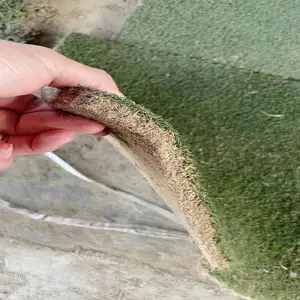 ���� ARC��Ƥ �� ����ƺ ������ ���� ��Ľ���ƺ