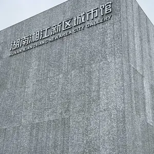 湖南长沙湘江新区城市馆的泡沫铝幕墙--细节决定成败