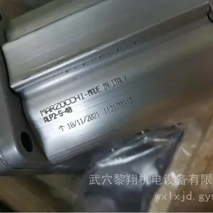 ALP2-S-40带出厂包装意大利马祖奇齿轮泵