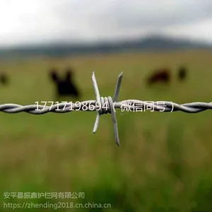 刺绳护栏网 振鼎 刀片刺绳网 镀锌丝喷塑护栏网