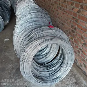 ��Ӧ��Ȼ�����˿