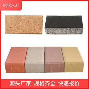 ���е��ÿ���������·��ש��ɫ͸ˮשTSZ-04
