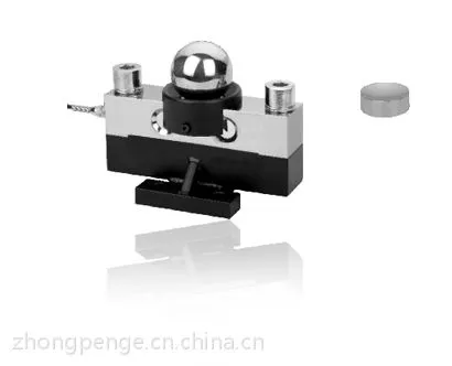 用于汽车衡的桥式传感器DS 10-40t