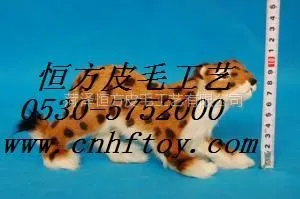 供应形态各异的真皮动物模型