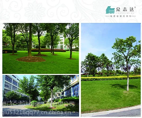 供应承接城市园林绿化工程承包
