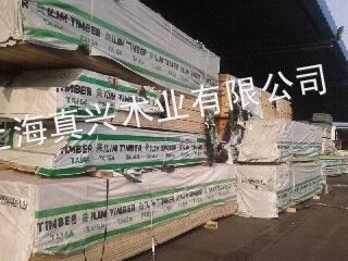 ��Ӧ����˹taige�����ɰ����ľ��ľľ��