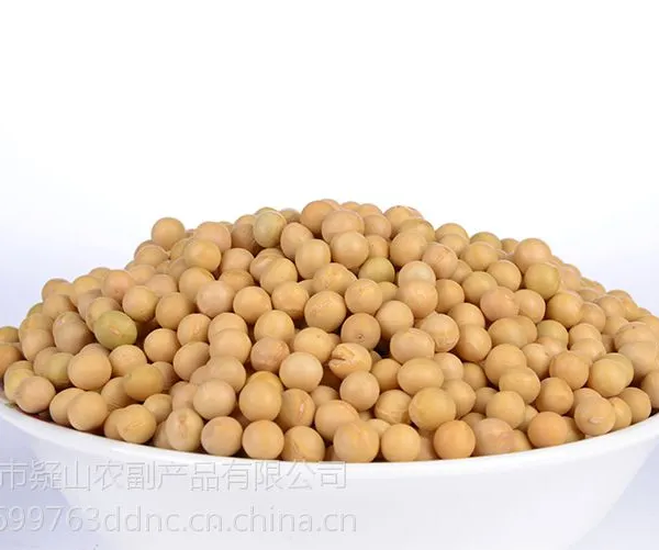 供应大地农仓 产地直销 五谷杂粮 大豆 黄豆 黄豆批发 黄豆价格 黄豆产地