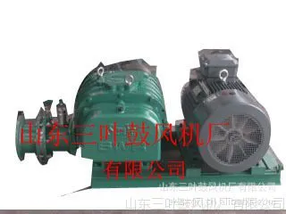 专业生产 天然气增压泵 沼气增压泵 燃气锅炉增压泵