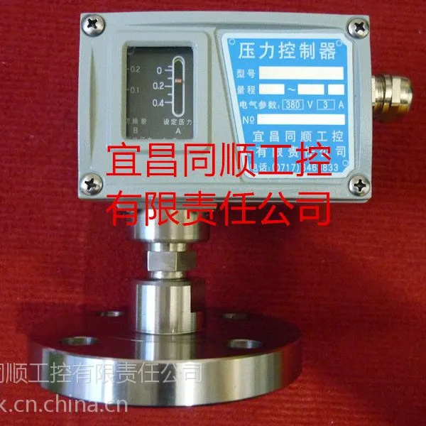 同顺工控厂家直销防腐压力控制器-法兰直接连接防腐TS