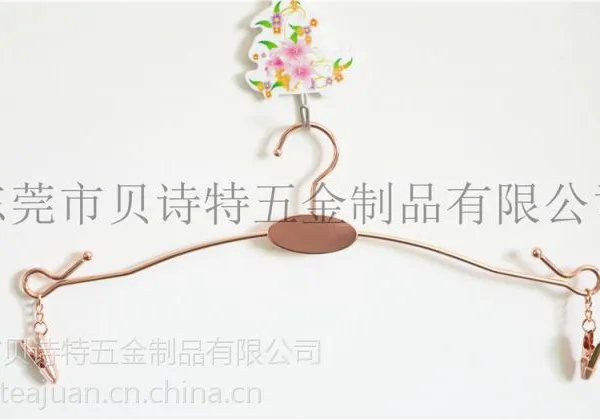 服装展示架/文胸衣挂/精美铁衣架