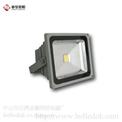 供应迪曼30WLED投光灯/LED泛光灯/射树灯
