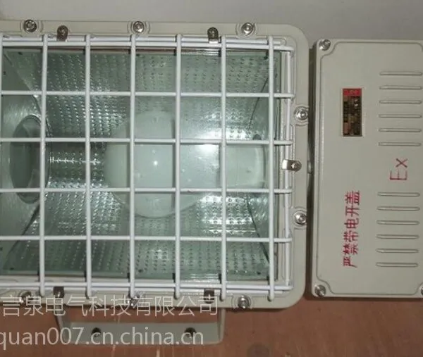 BnT81-N250防爆泛光灯_250W防爆高压钠灯