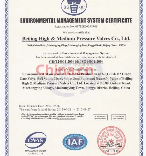 OHSAS18001:2007