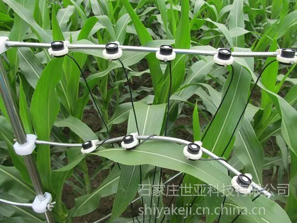 供应多通道光合有效辐射采集记录仪