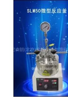 供应上海50ml磁力搅拌微型反应釜