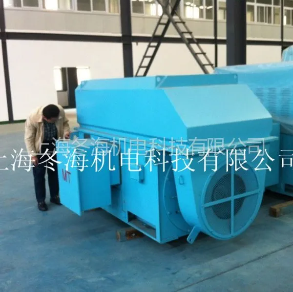 ���Ÿ�ѹ���TYX5601-6-900KW