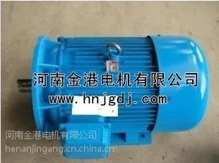 供应Y315S-6 75KW电机/电动机异步电动机 Y系列价格