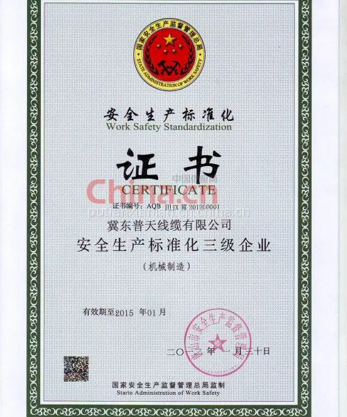 安全标准化