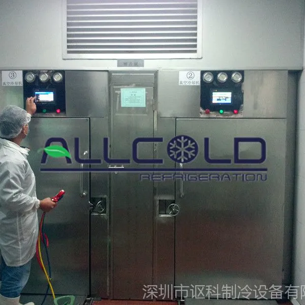供应面点快速冷却真空快速冷却机