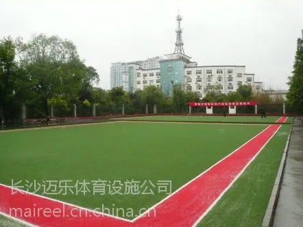 供应湖南长沙株洲湘潭怀化永州郴州人造草坪门球场