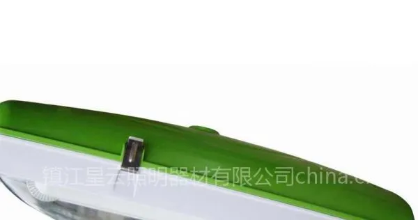供应无极灯路灯