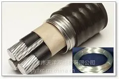 供应济南铠装电缆钢丝 刺丝 养殖笼具丝