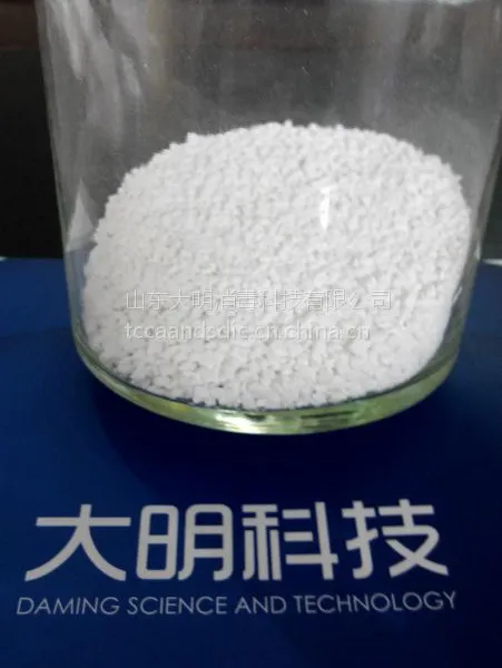 供应豆芽培育池循环水灭菌,杀菌,二氧化氯消毒片,高效***
