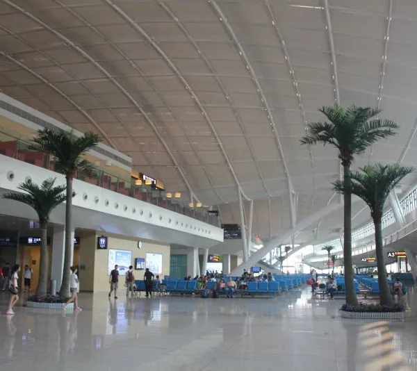 仿真椰子树仿真棕榈树仿真植物热带海滩风景树酒店大厅摆放装饰