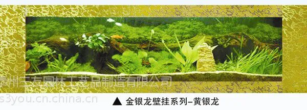 供应三友水族精品1.8米黄银龙壁挂生态水族箱