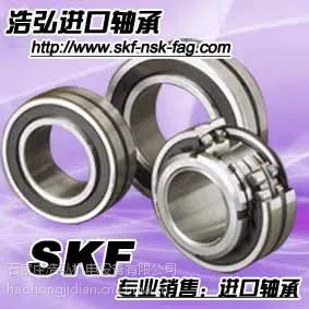 供应达州市2205进口轴承运城市深沟球进口轴承浩弘原厂进口批发
