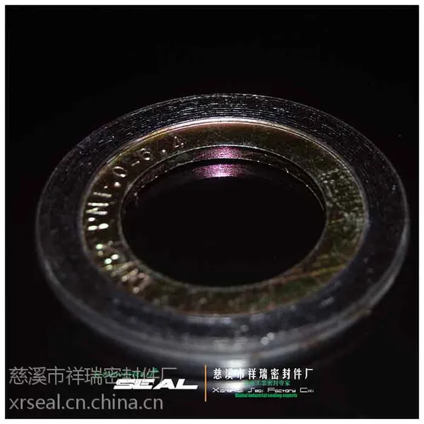 供应带内环不锈钢缠绕垫片 法兰垫片