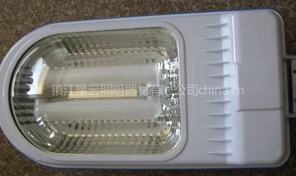 供应星成2号无极灯路灯