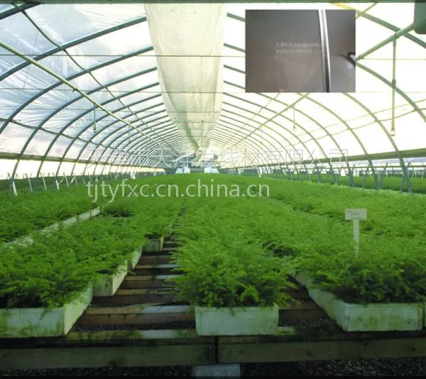 供应笼具丝 石笼网丝 刺丝 猕猴桃藤丝 葡萄藤丝 护栏网丝